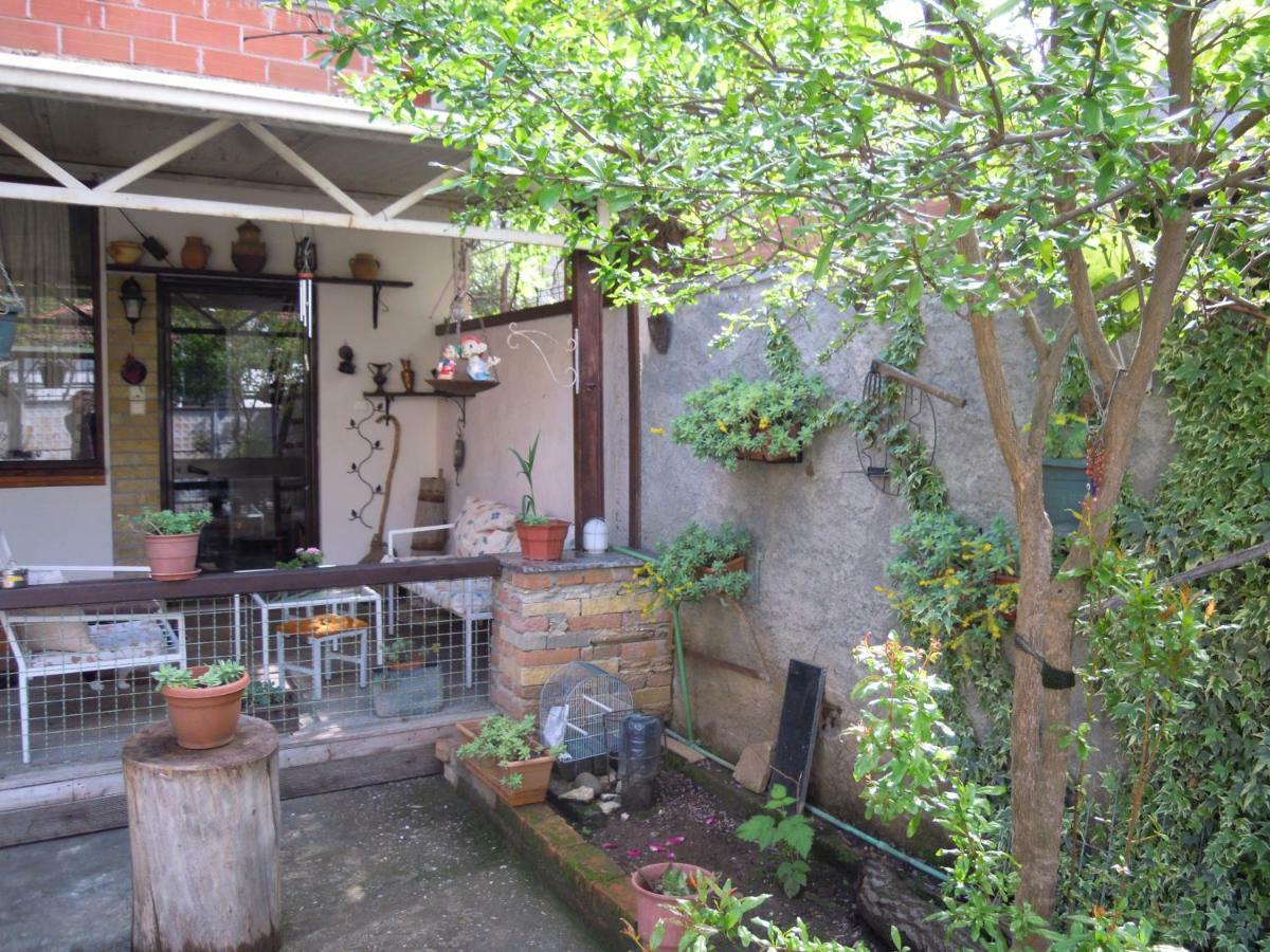 Angie'S Shared Villa Tam Τίρανα Εξωτερικό φωτογραφία