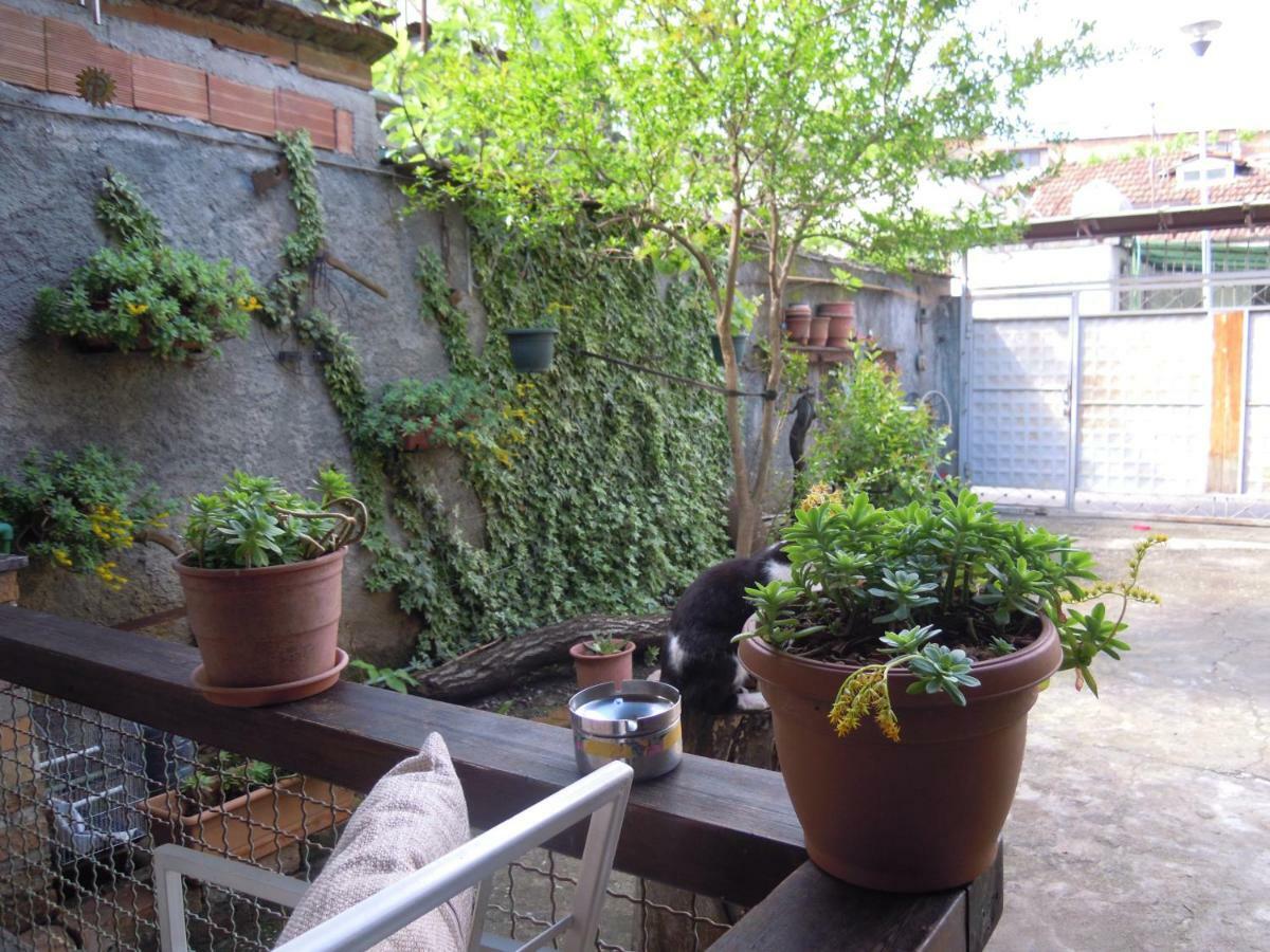 Angie'S Shared Villa Tam Τίρανα Εξωτερικό φωτογραφία