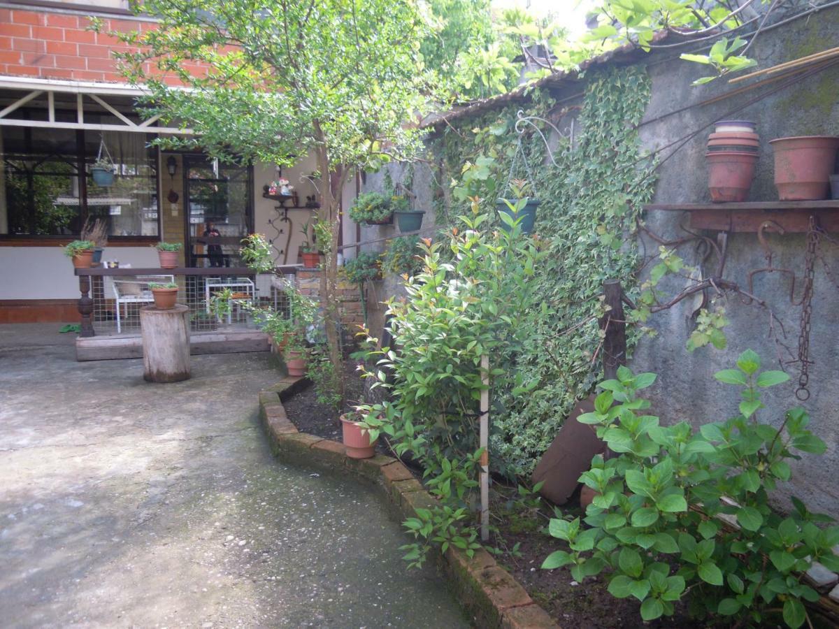 Angie'S Shared Villa Tam Τίρανα Εξωτερικό φωτογραφία